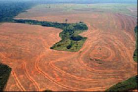While Brazil Urges Climate Consensus Abroad, Environmental Concerns Loom at Home