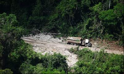 Amazon defenders face death or exile