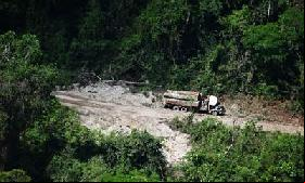 Amazon defenders face death or exile