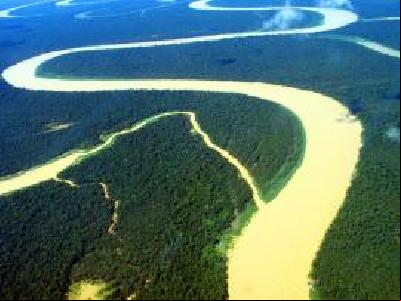 Ação judicial questiona corte de áreas na floresta amazônica
