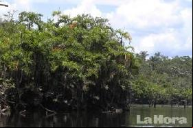 Zero surveillance over oil drilling in Yasuni National Park